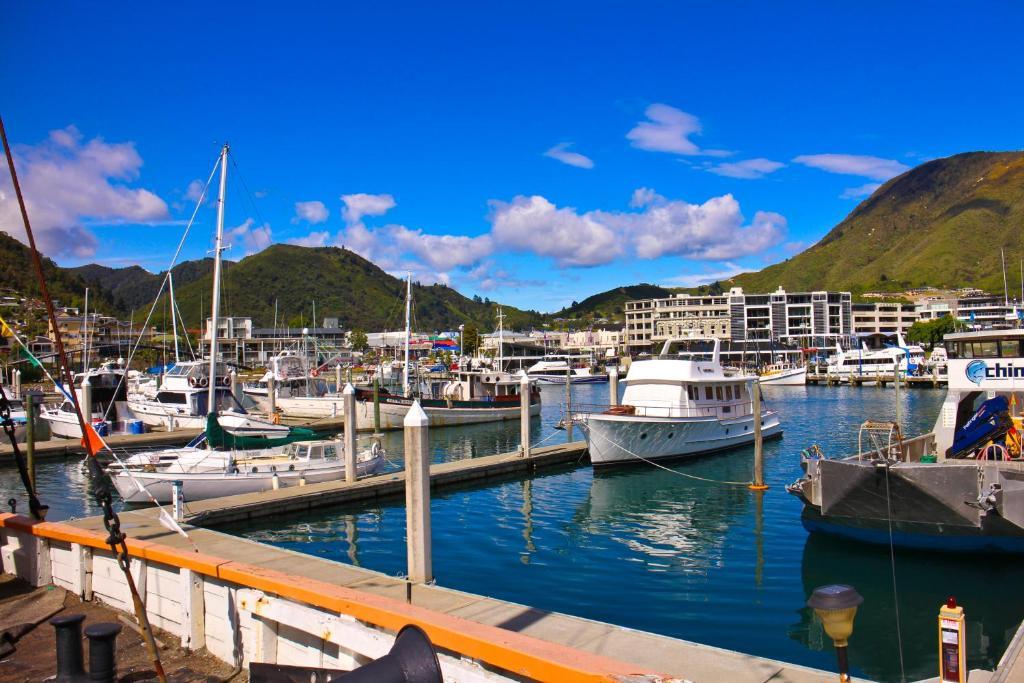 Picton Accommodation Gateway Motel Bagian luar foto